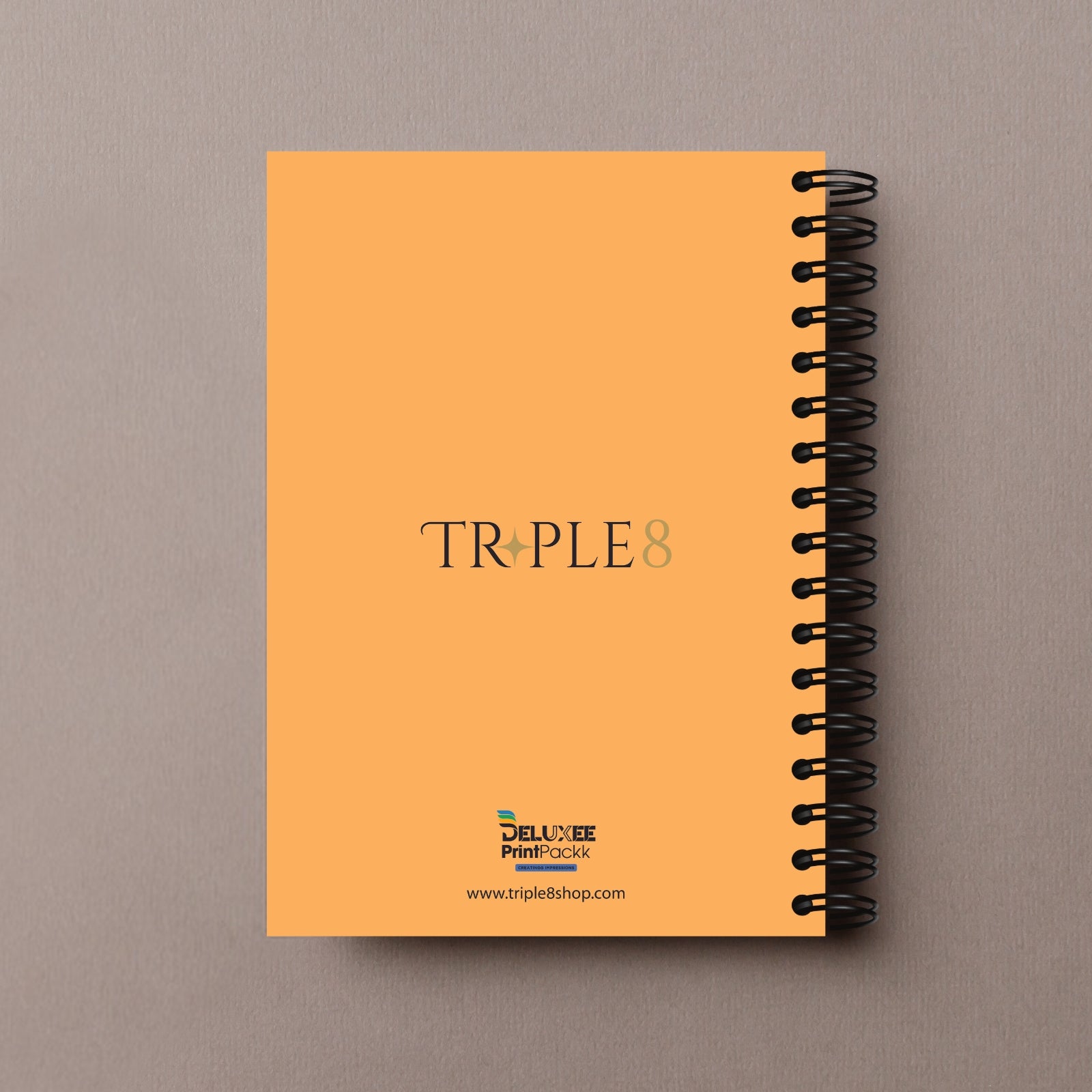 Capricorn - Zodiac Diary